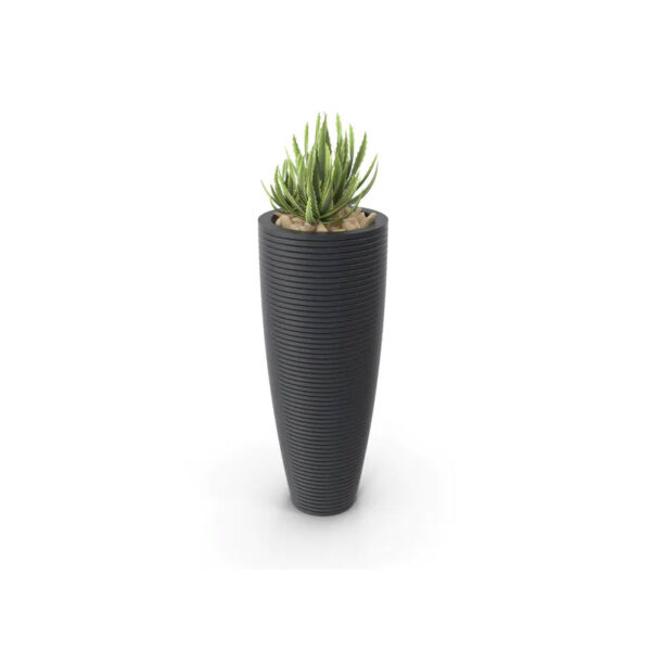 Green Tall Plant