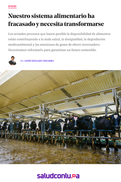 LIBROS JD (18)